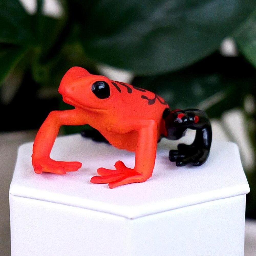 Equatorial Red Frog‎ Figure - Hand Painted & Collectible Animal Toy Figurine